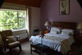 Отели типа «постель и завтрак» The Rectory B&B Cloghan Двухместный номер Делюкс с 1 кроватью и душем-4